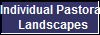 Individual Pastoral 
Landscapes